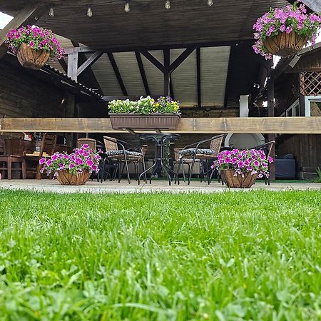 Hotel Vila Maria Sasciori Sebes Zewnętrze zdjęcie