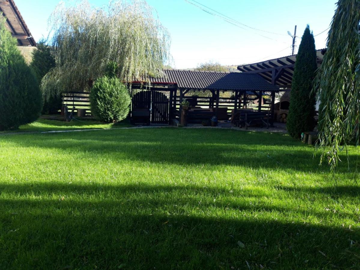 Hotel Vila Maria Sasciori Sebes Zewnętrze zdjęcie