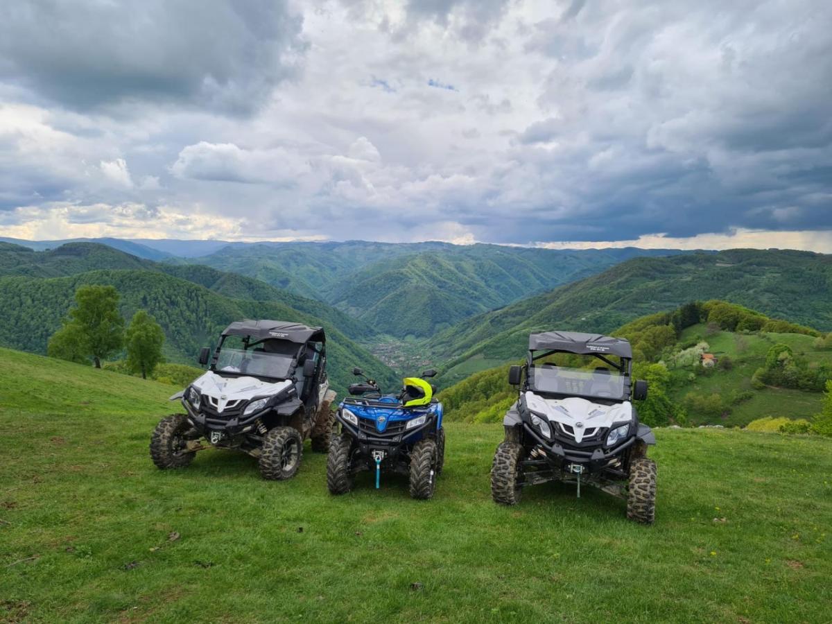 Hotel Vila Maria Sasciori Sebes Zewnętrze zdjęcie