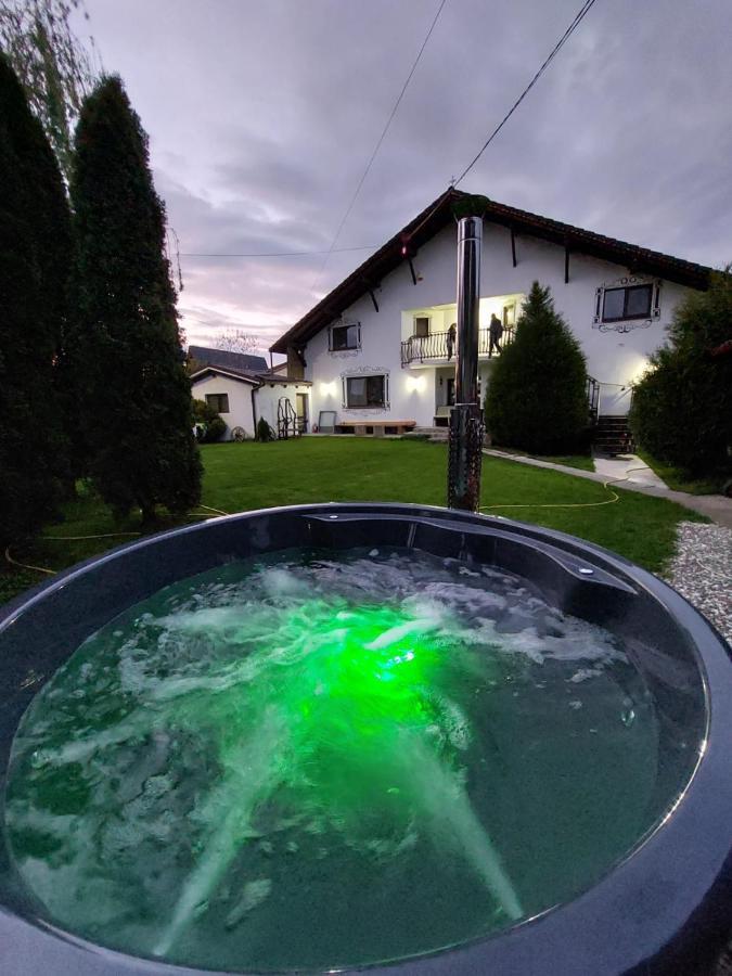 Hotel Vila Maria Sasciori Sebes Zewnętrze zdjęcie
