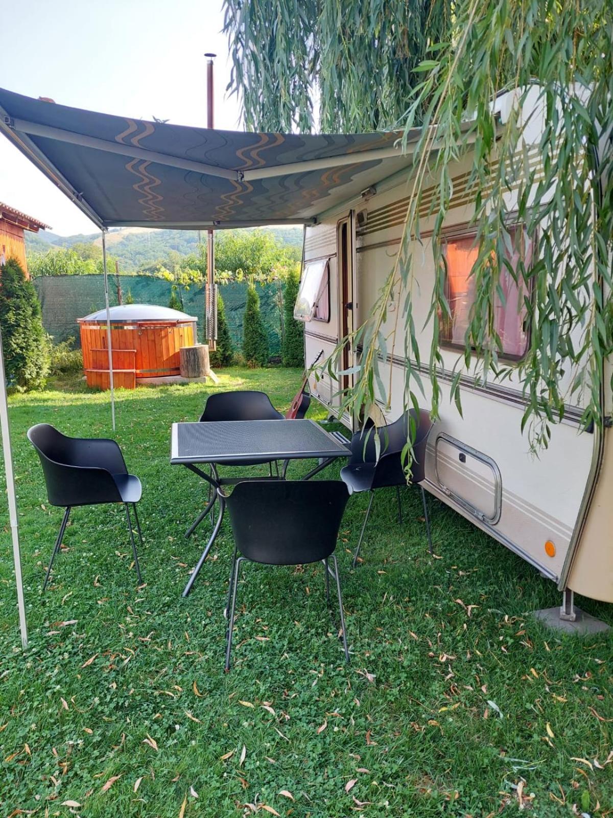 Hotel Vila Maria Sasciori Sebes Zewnętrze zdjęcie
