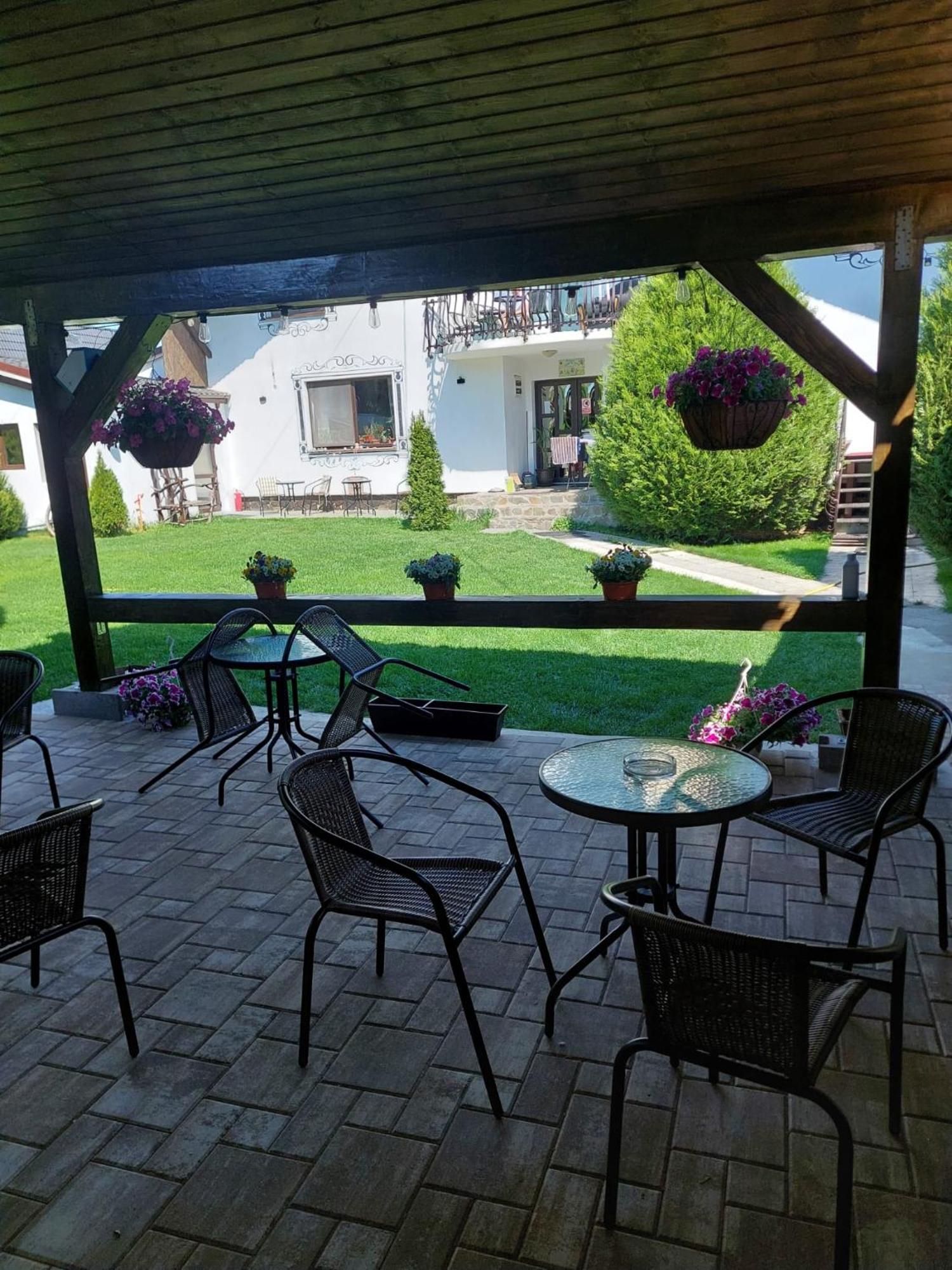 Hotel Vila Maria Sasciori Sebes Zewnętrze zdjęcie