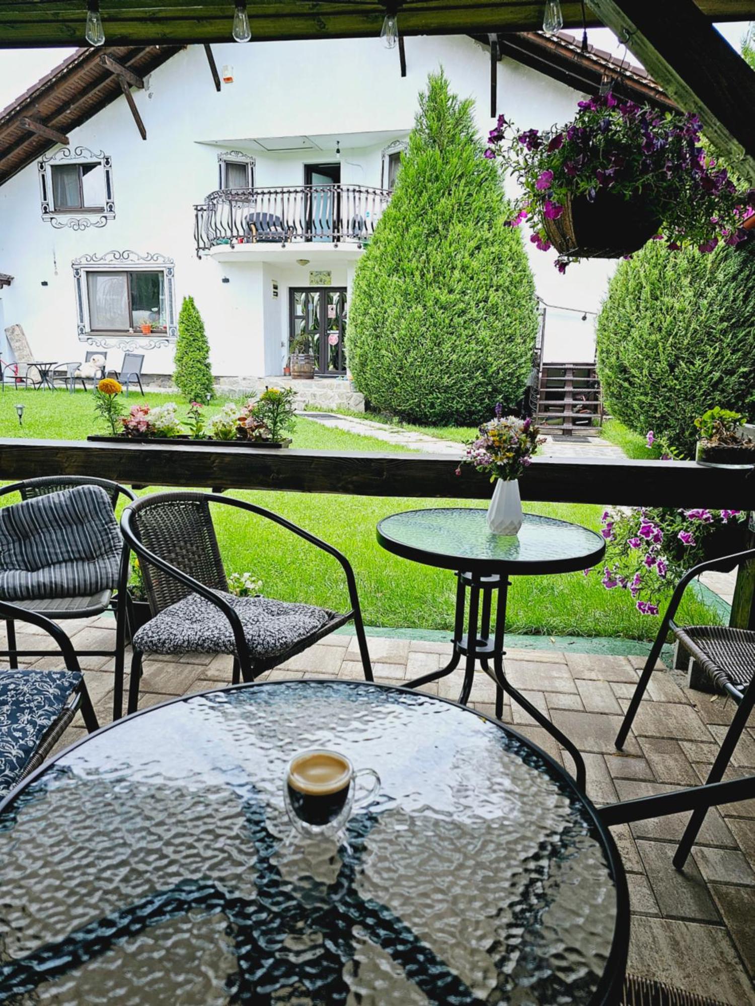 Hotel Vila Maria Sasciori Sebes Zewnętrze zdjęcie