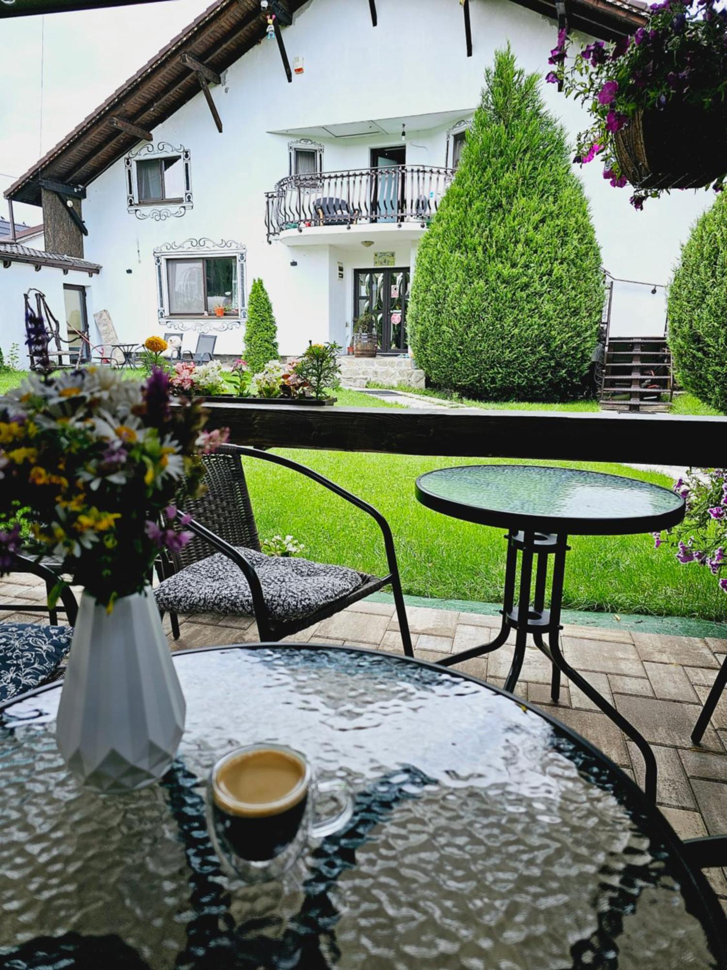 Hotel Vila Maria Sasciori Sebes Pokój zdjęcie