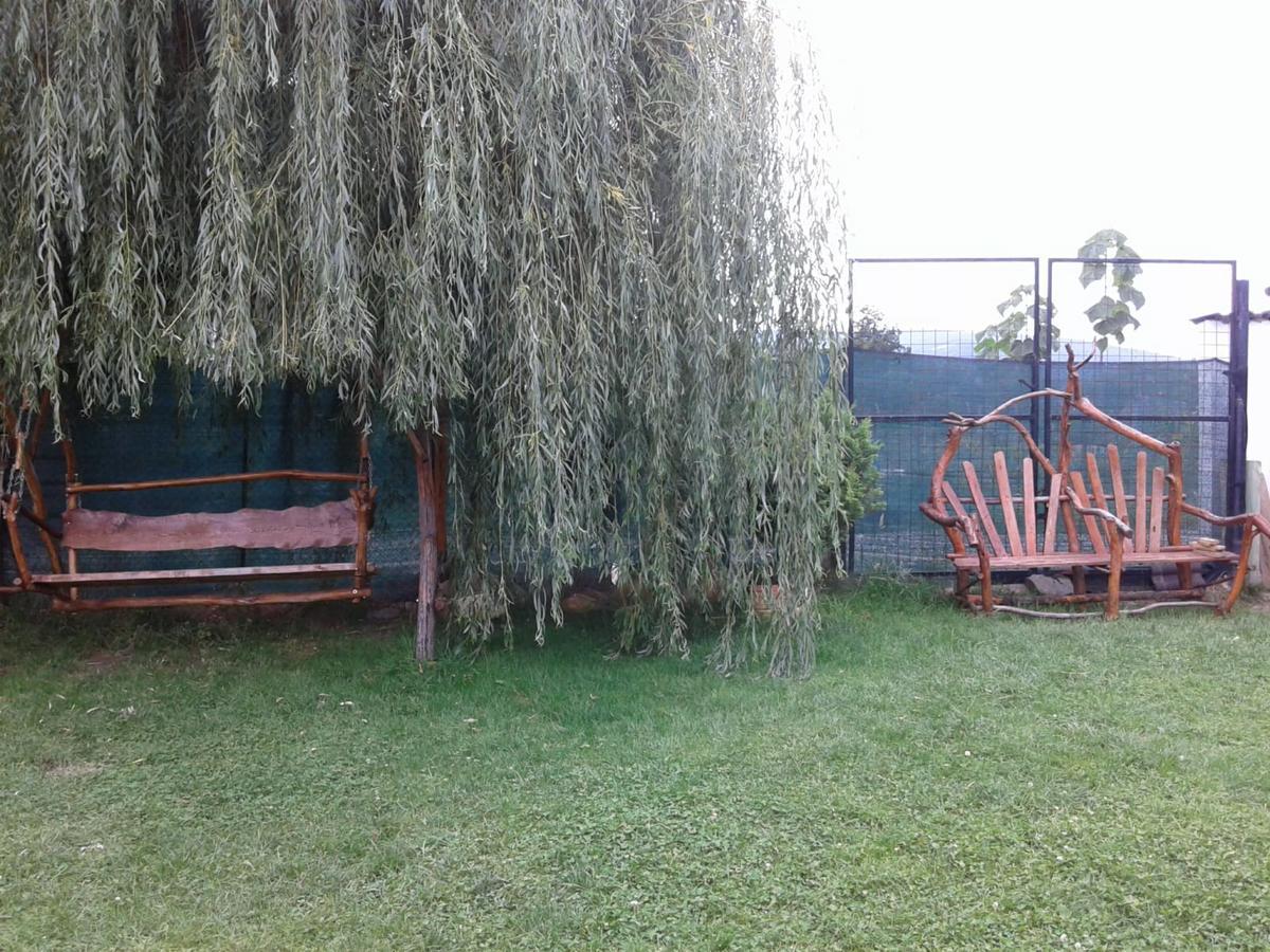 Hotel Vila Maria Sasciori Sebes Zewnętrze zdjęcie