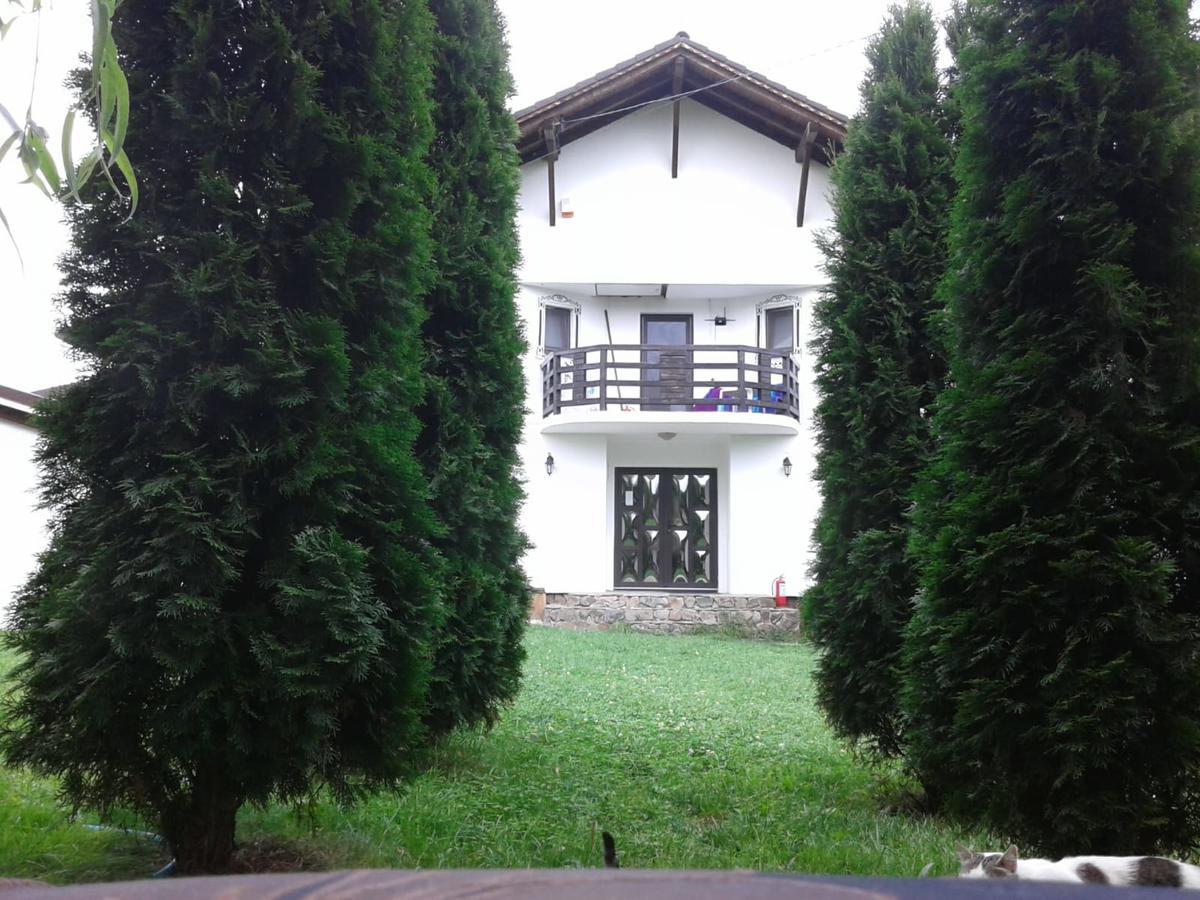 Hotel Vila Maria Sasciori Sebes Zewnętrze zdjęcie