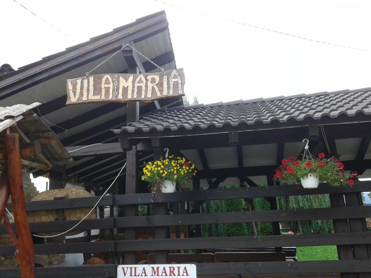 Hotel Vila Maria Sasciori Sebes Zewnętrze zdjęcie