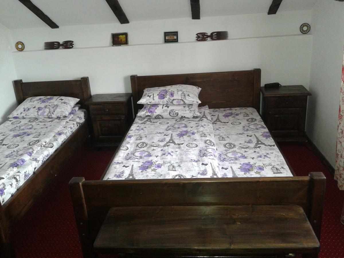 Hotel Vila Maria Sasciori Sebes Zewnętrze zdjęcie