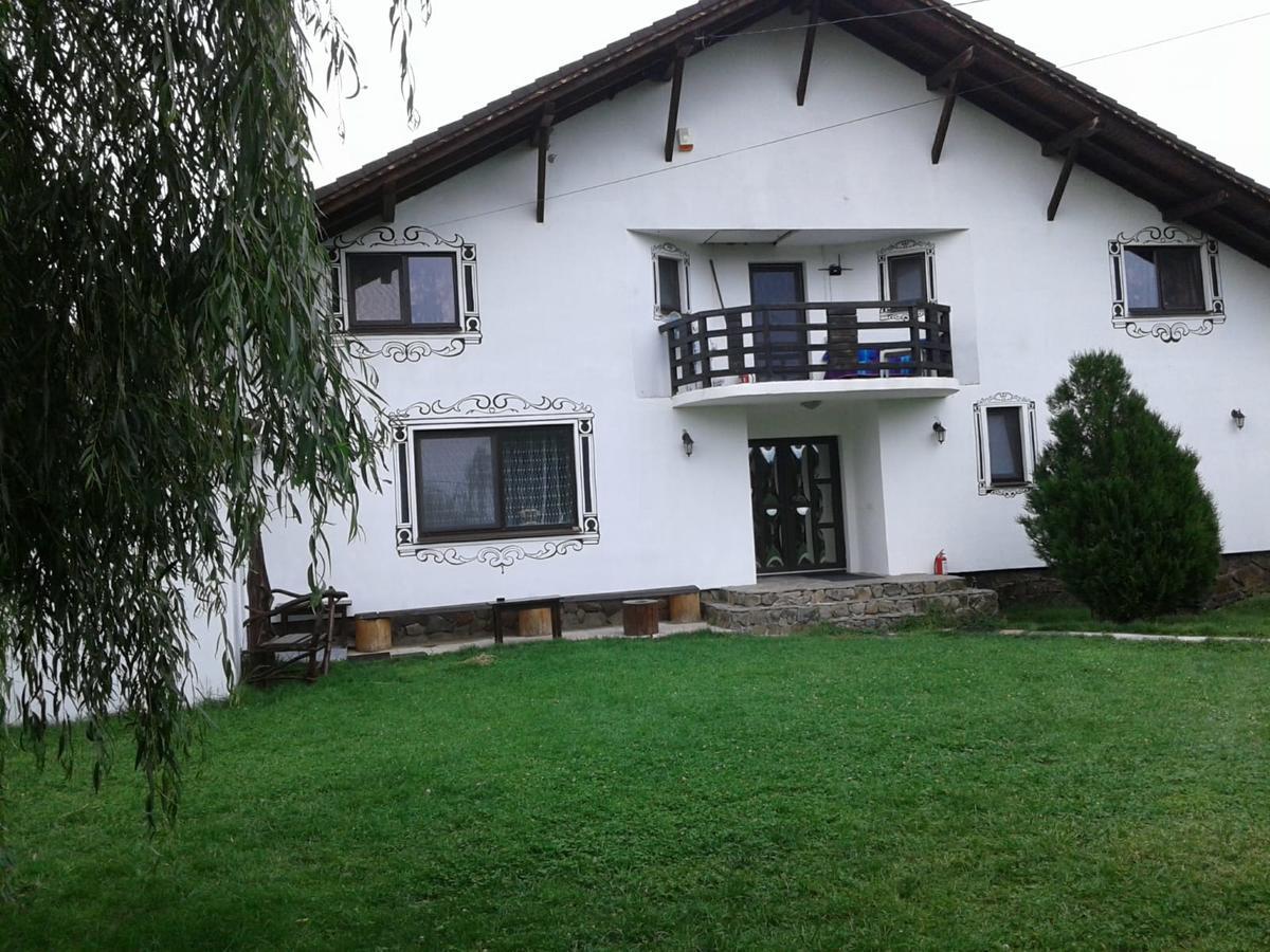Hotel Vila Maria Sasciori Sebes Zewnętrze zdjęcie