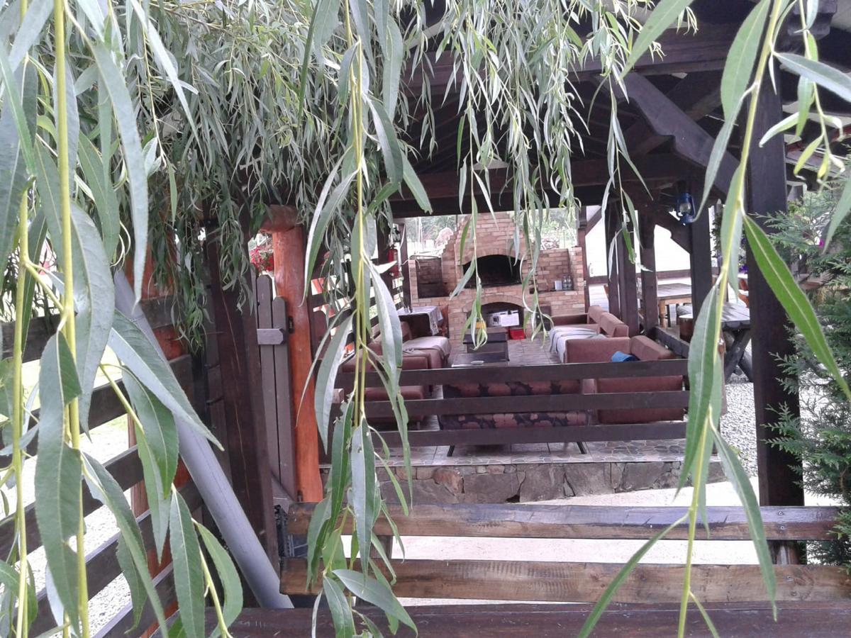 Hotel Vila Maria Sasciori Sebes Zewnętrze zdjęcie