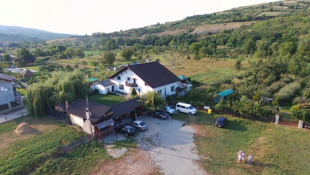 Hotel Vila Maria Sasciori Sebes Zewnętrze zdjęcie