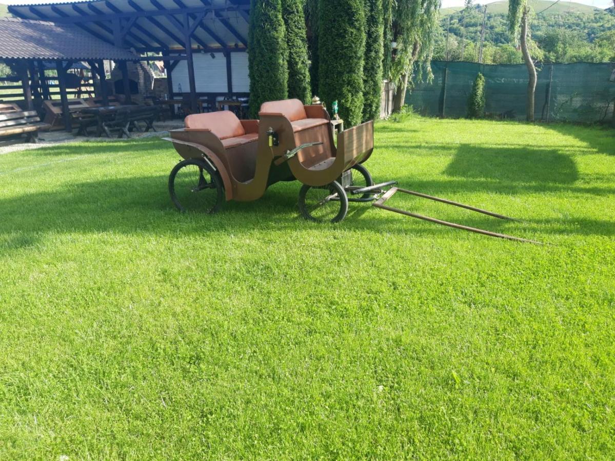 Hotel Vila Maria Sasciori Sebes Zewnętrze zdjęcie